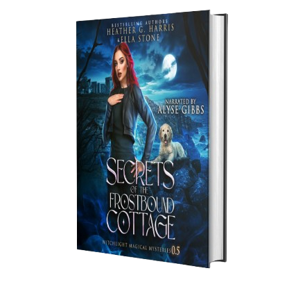 Secrets of the Frostbound Cottage (Hardback)