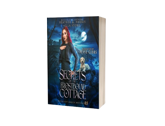 Secrets of the Frostbound Cottage (Paperback)