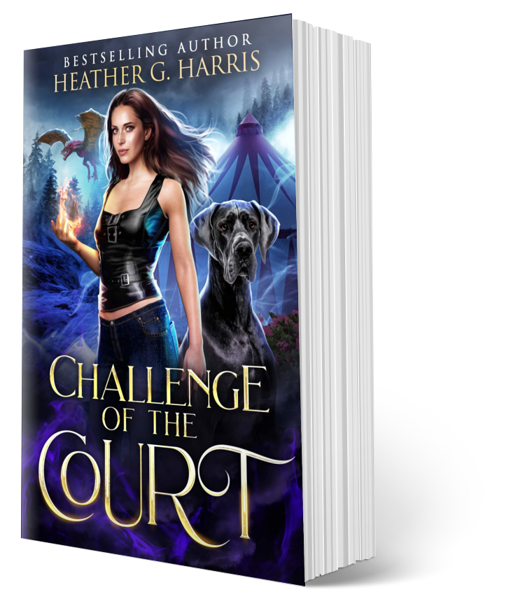 Challenge of the Court(Paperback)