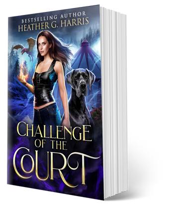 Challenge of the Court(Paperback)