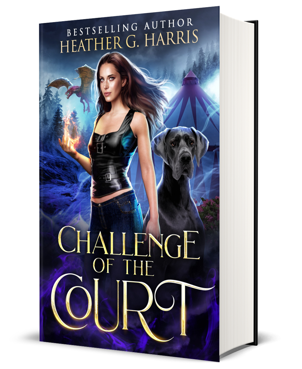 Challenge of the Court (Hardback)