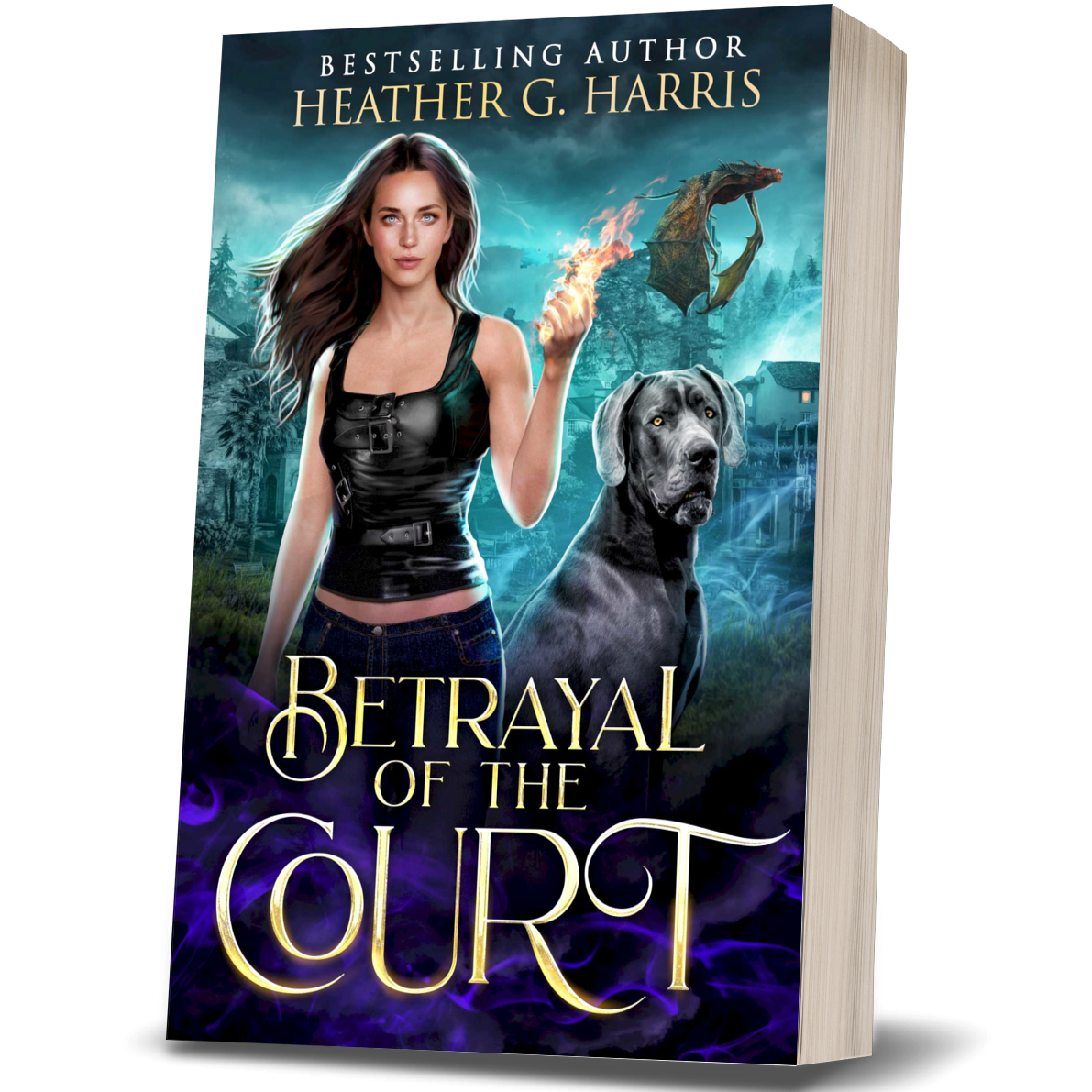 Betrayal of the Court (Paperback)