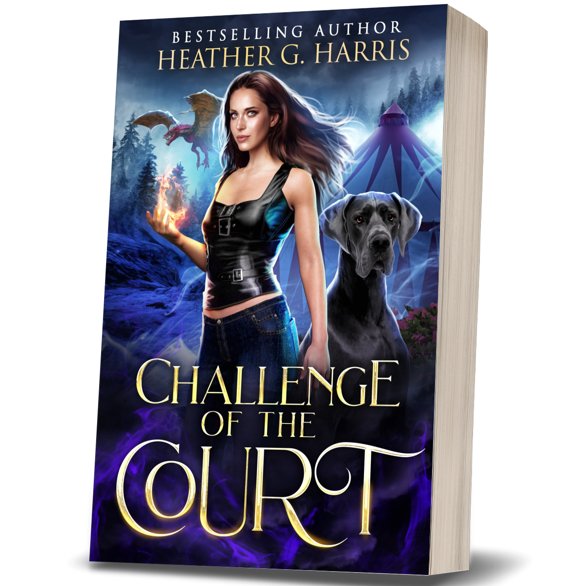 Challenge of the Court (Paperback)