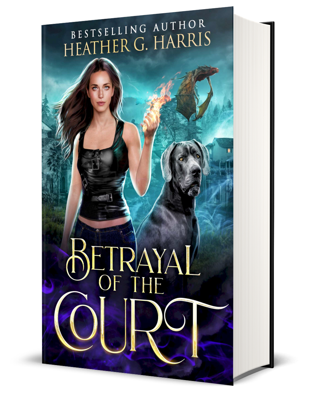 Betrayal of the Court(Paperback)