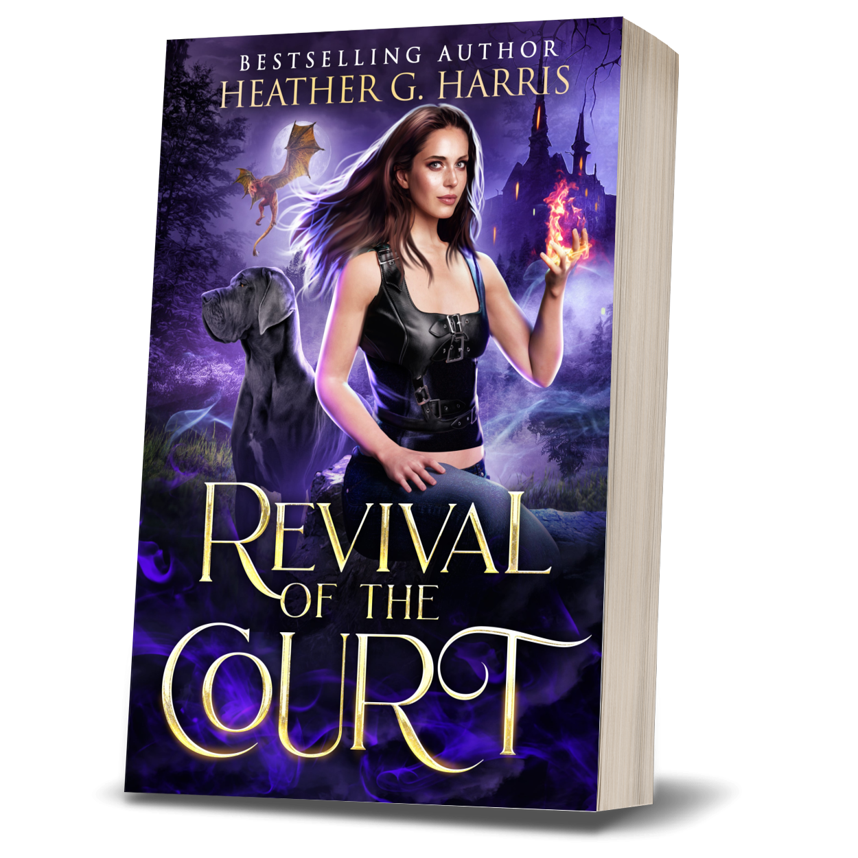 Revival of the Court (Paperback)
