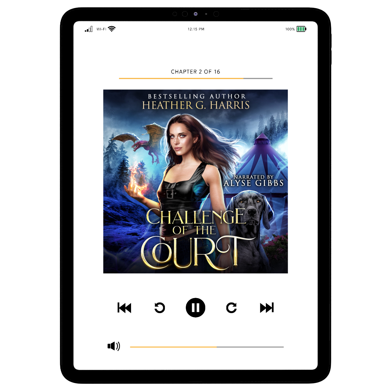 Challenge of the Court (Audiobook)