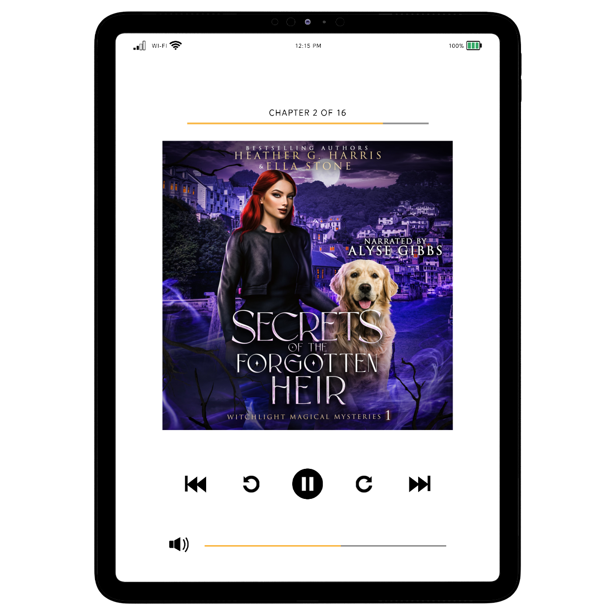 Secrets of the Forgotten Heir (Audiobook)