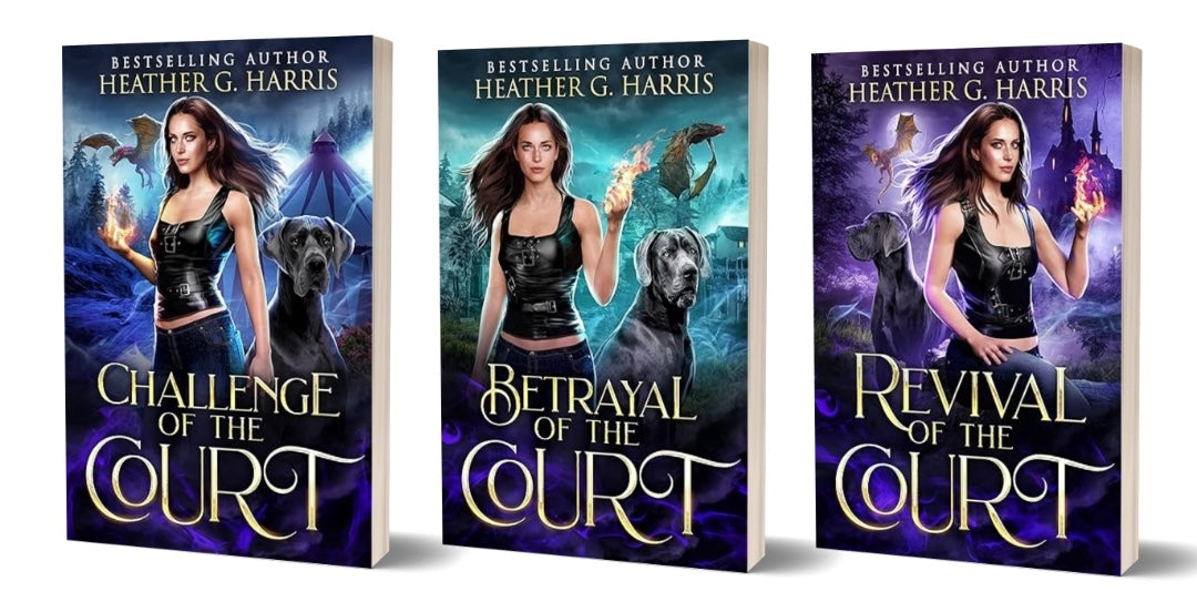 The Other Realm - Court Series Omnibus! (Paperback)