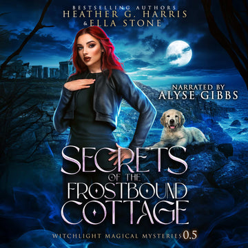 Secrets of the Frostbound Cottage(Paper Back)