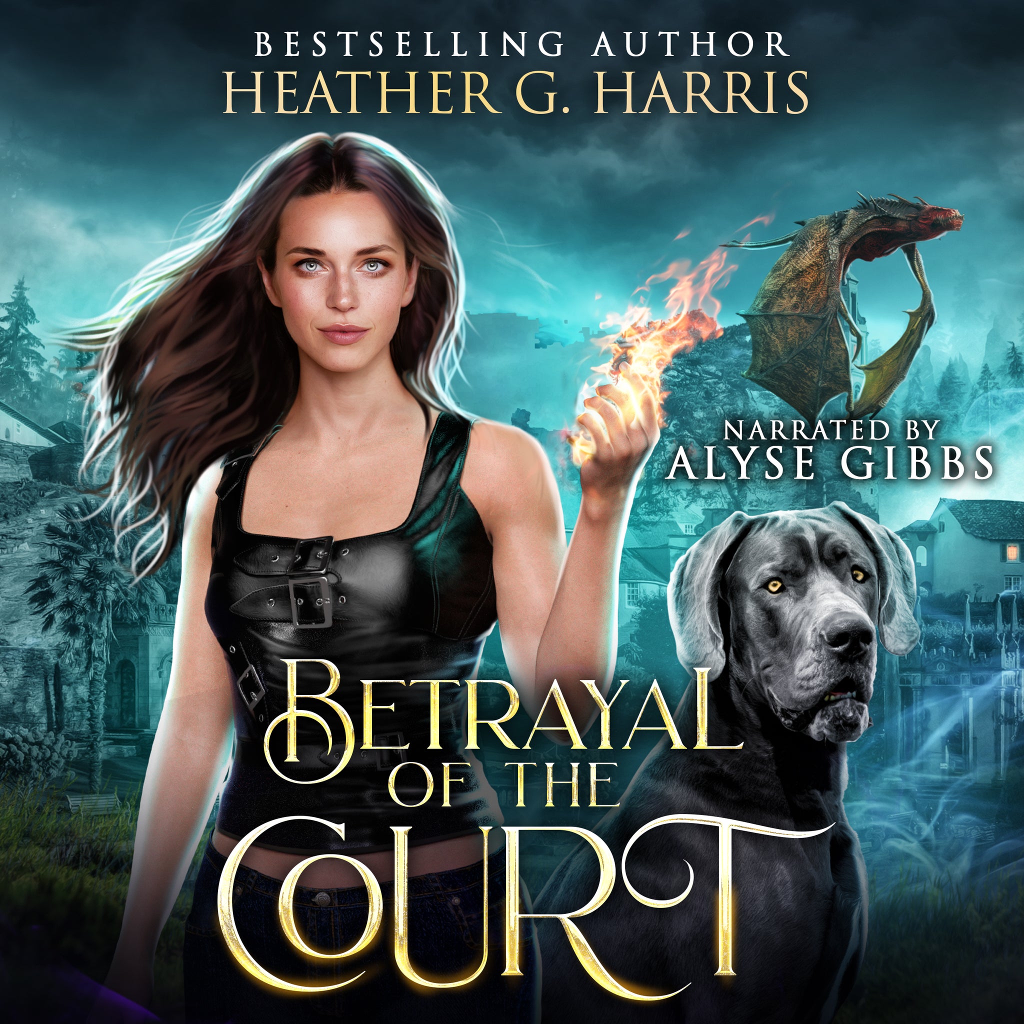 Betrayal of the Court(Hardback)